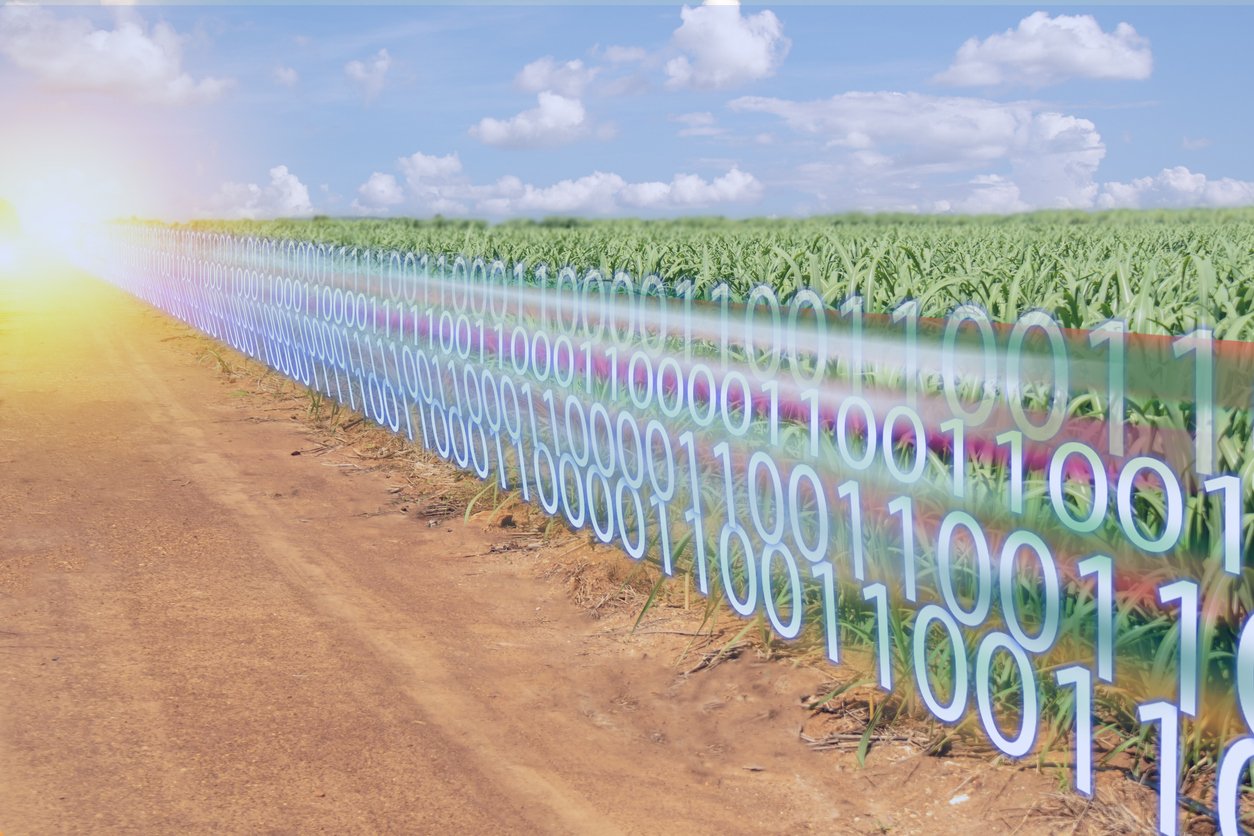 blockchain in agriculture