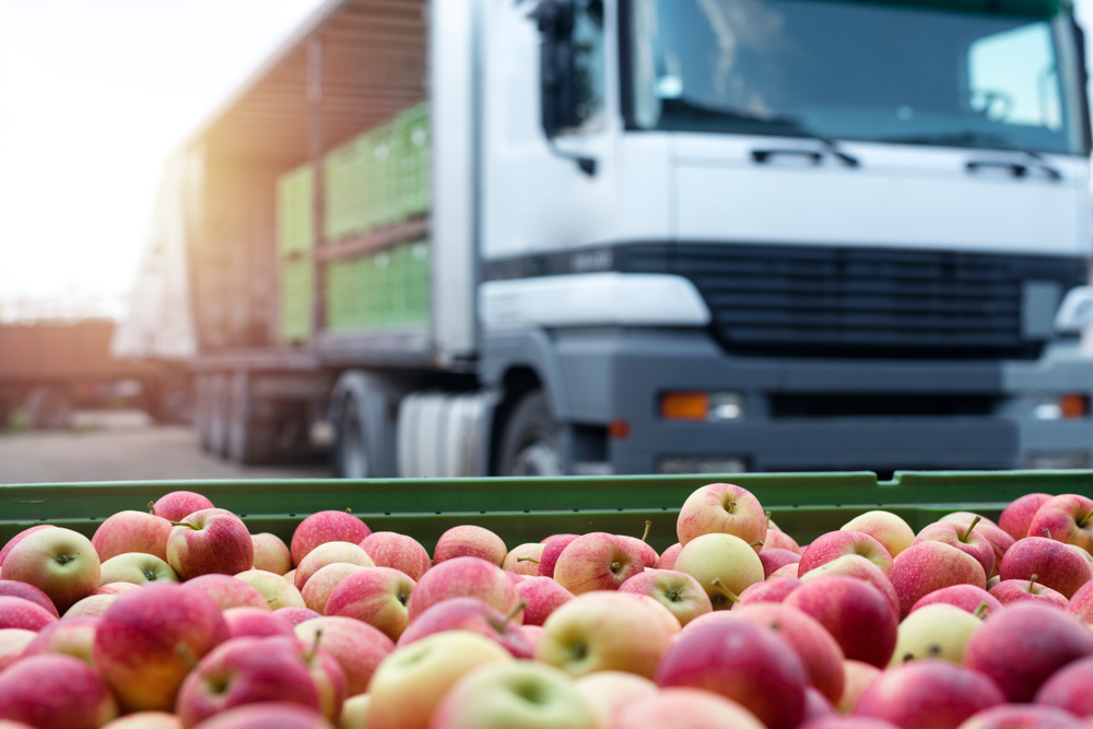 food supply chain apples